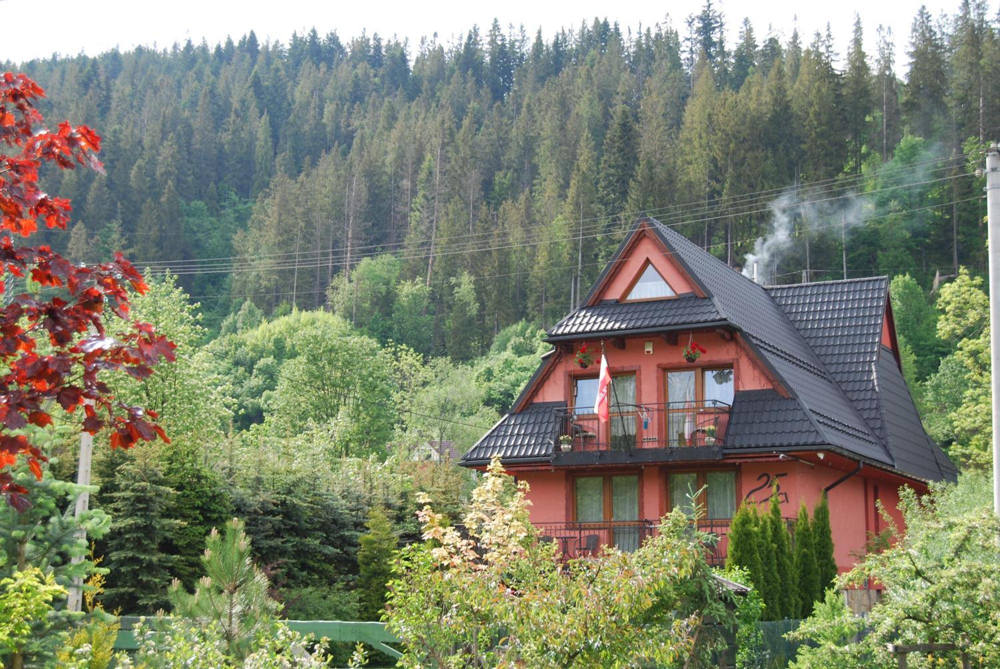 Willa Pod Bandera Zakopane Exterior photo