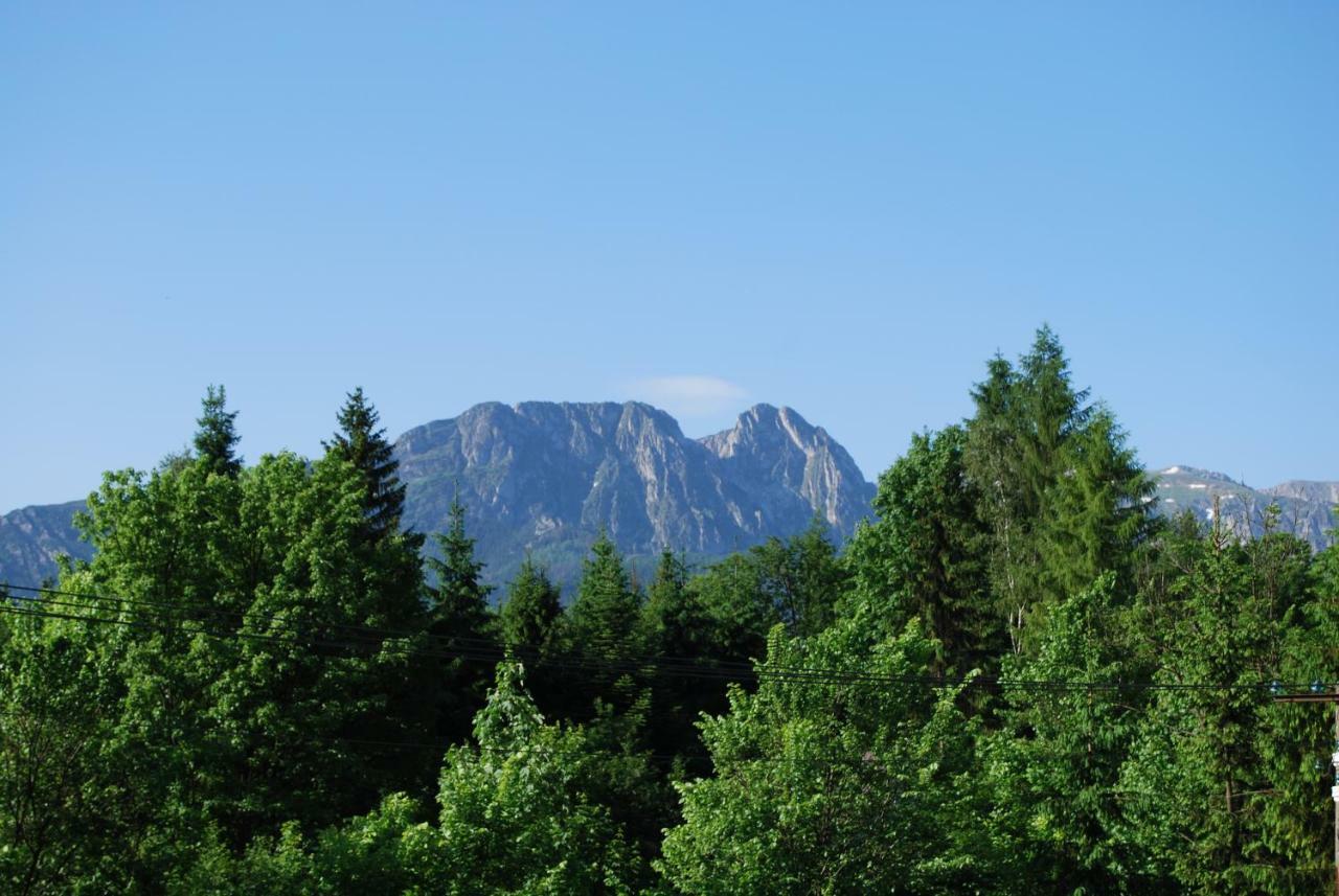 Willa Pod Bandera Zakopane Exterior photo